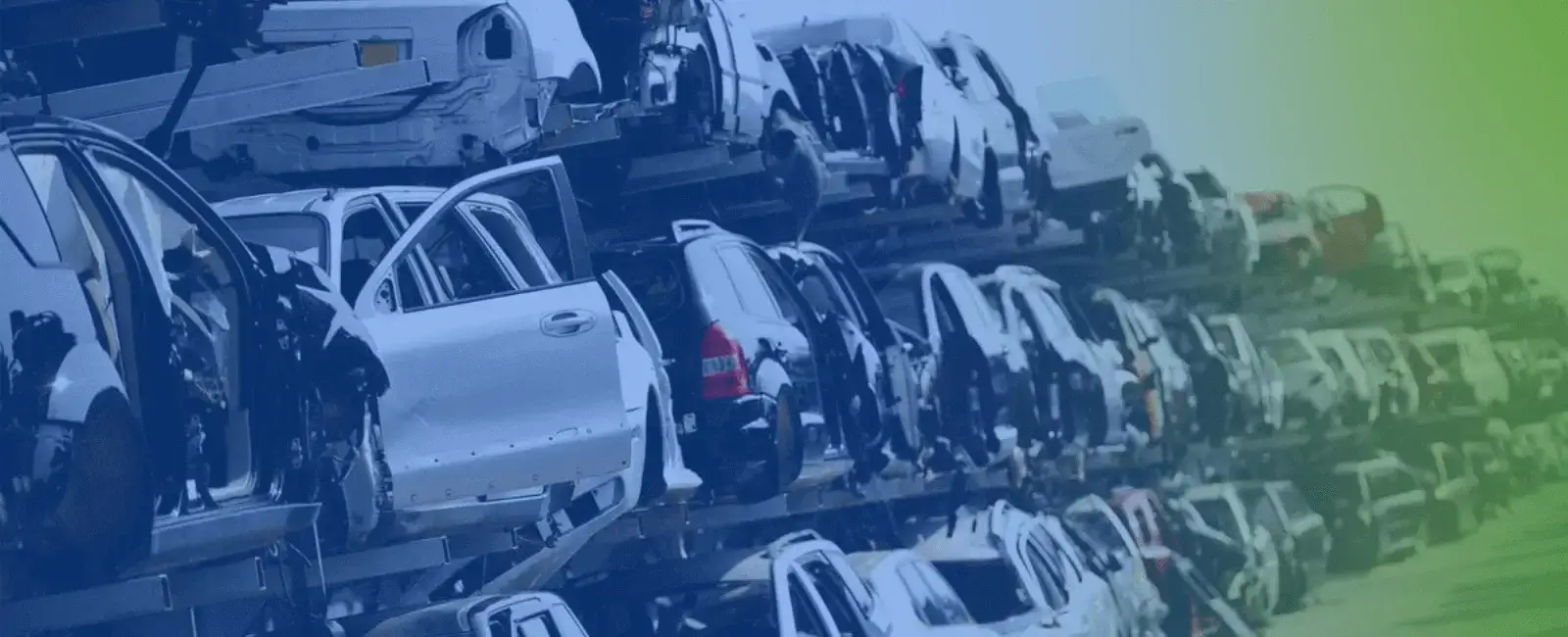  Un nuevo nivel de servicio al cliente 